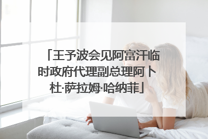 王予波会见阿富汗临时政府代理副总理阿卜杜·萨拉姆·哈纳菲
