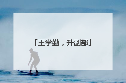 王学勤，升副部