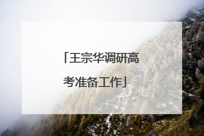 王宗华调研高考准备工作