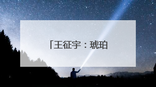 王征宇：琥珀虹膜中的我们
