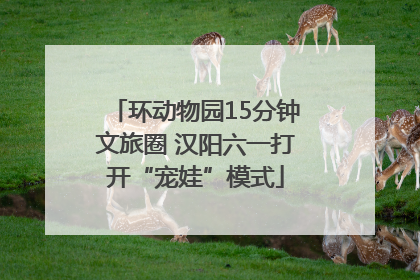 环动物园15分钟文旅圈 汉阳六一打开“宠娃”模式