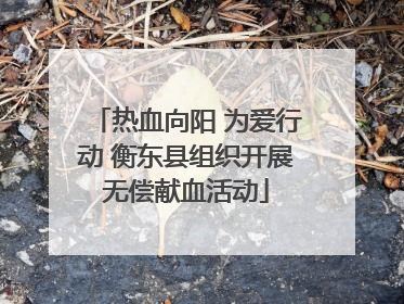 热血向阳 为爱行动 衡东县组织开展无偿献血活动