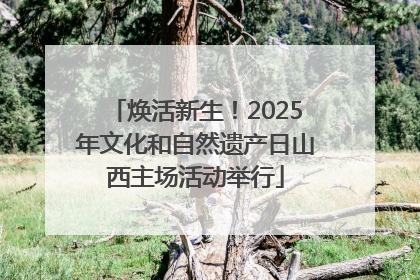 焕活新生！2025年文化和自然遗产日山西主场活动举行
