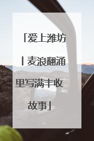 爱上潍坊丨麦浪翻涌里写满丰收故事