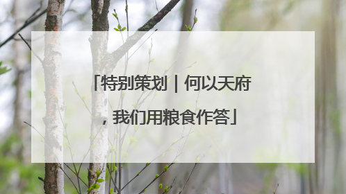 特别策划｜何以天府，我们用粮食作答