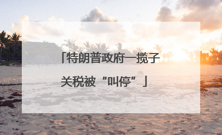 特朗普政府一揽子关税被“叫停”