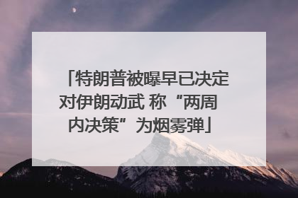 特朗普被曝早已决定对伊朗动武 称“两周内决策”为烟雾弹