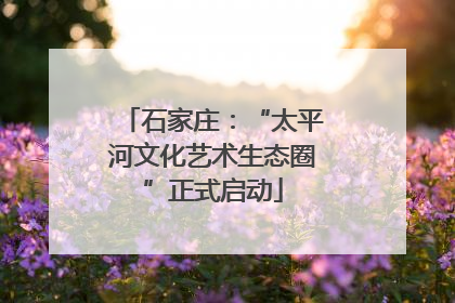 石家庄：“太平河文化艺术生态圈”正式启动