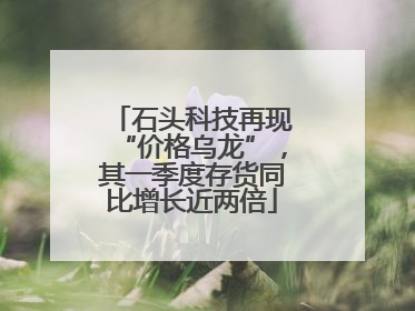 石头科技再现“价格乌龙”，其一季度存货同比增长近两倍