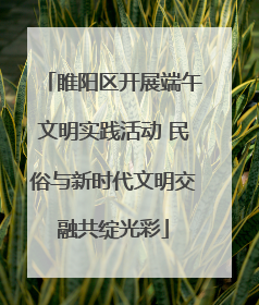 睢阳区开展端午文明实践活动 民俗与新时代文明交融共绽光彩