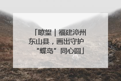 瞭望｜福建漳州东山县，画出守护“蝶岛”同心圆