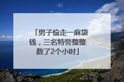 男子偷走一麻袋钱，三名特警整整数了2个小时