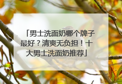 男士洗面奶哪个牌子最好？清爽无负担！十大男士洗面奶推荐