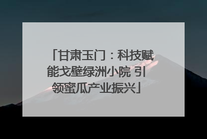 甘肃玉门：科技赋能戈壁绿洲小院 引领蜜瓜产业振兴