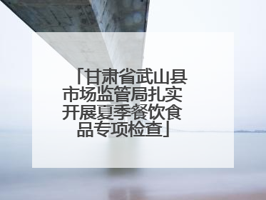 甘肃省武山县市场监管局扎实开展夏季餐饮食品专项检查