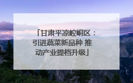 甘肃平凉崆峒区：引进蔬菜新品种 推动产业提档升级