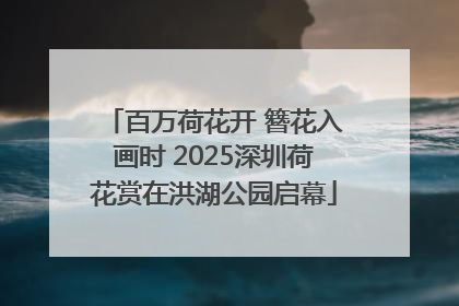 百万荷花开 簪花入画时 2025深圳荷花赏在洪湖公园启幕