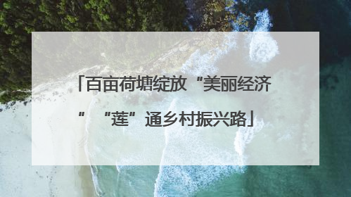 百亩荷塘绽放“美丽经济”“莲”通乡村振兴路
