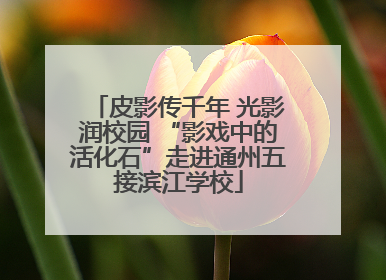 皮影传千年 光影润校园 “影戏中的活化石”走进通州五接滨江学校