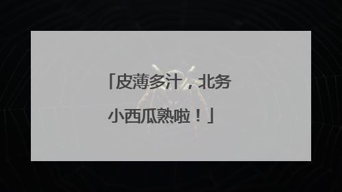 皮薄多汁，北务小西瓜熟啦！
