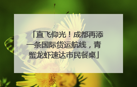 直飞仰光！成都再添一条国际货运航线，青蟹龙虾速达市民餐桌