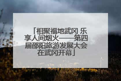 相聚福地武冈 乐享人间烟火——第四届邵阳旅游发展大会在武冈开幕