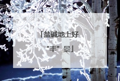 盐碱地上好“丰”景