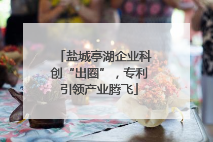 盐城亭湖企业科创“出圈”，专利引领产业腾飞
