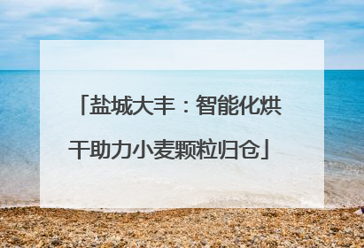 盐城大丰：智能化烘干助力小麦颗粒归仓