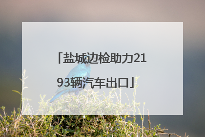 盐城边检助力2193辆汽车出口