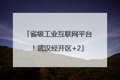省级工业互联网平台！武汉经开区+2