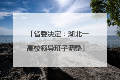 省委决定：湖北一高校领导班子调整
