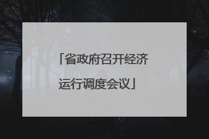 省政府召开经济运行调度会议