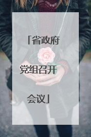 省政府党组召开会议