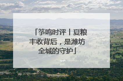 筝鸣时评丨夏粮丰收背后，是潍坊全城的守护