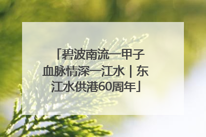 碧波南流一甲子 血脉情深一江水｜东江水供港60周年