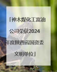 神木煤化工富油公司荣获2024年度陕西省国资委文明单位