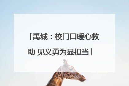 禹城：校门口暖心救助 见义勇为显担当