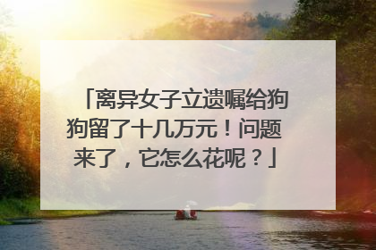 离异女子立遗嘱给狗狗留了十几万元！问题来了，它怎么花呢？