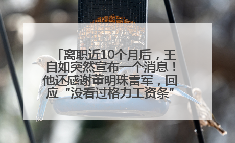 离职近10个月后，王自如突然宣布一个消息！他还感谢董明珠雷军，回应“没看过格力工资条”：真的不那么重要！