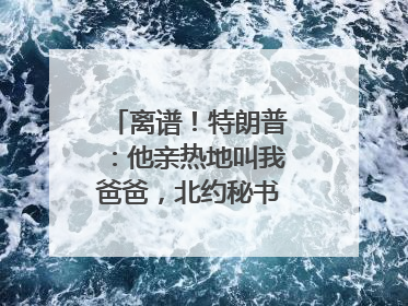离谱！特朗普：他亲热地叫我爸爸，北约秘书长：我没有