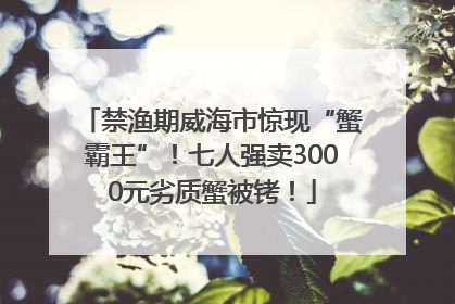 禁渔期威海市惊现“蟹霸王”！七人强卖3000元劣质蟹被铐！