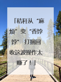 秸秆从“麻烦”变“香饽饽” 打捆回收这波操作太赚了！