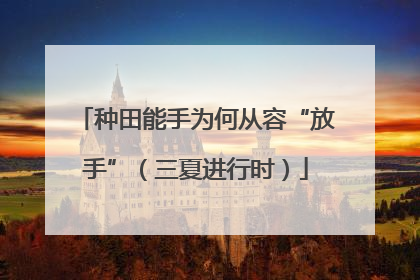 种田能手为何从容“放手”（三夏进行时）