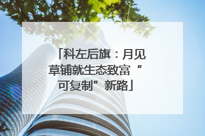 科左后旗：月见草铺就生态致富“可复制”新路