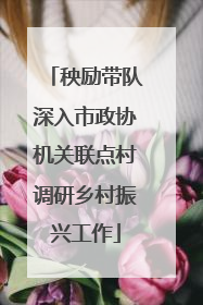 秧励带队深入市政协机关联点村调研乡村振兴工作
