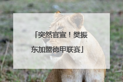 突然官宣！樊振东加盟德甲联赛