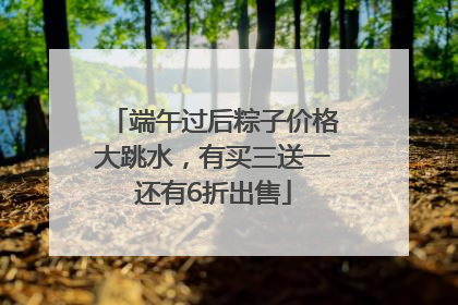 端午过后粽子价格大跳水，有买三送一还有6折出售