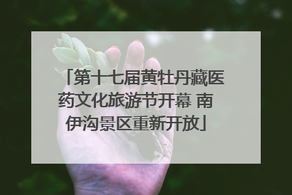 第十七届黄牡丹藏医药文化旅游节开幕 南伊沟景区重新开放