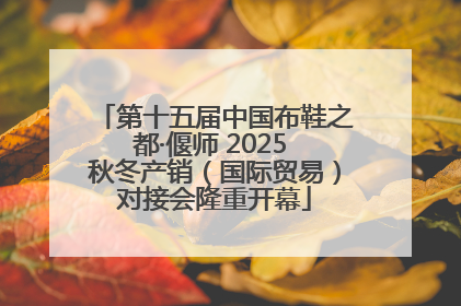 第十五届中国布鞋之都·偃师 2025 秋冬产销（国际贸易）对接会隆重开幕